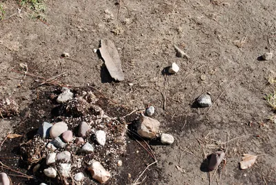 DSC_0030 (Large).JPG